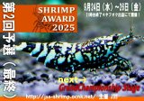 シュリンプアワード2025第２回予選開催決定！