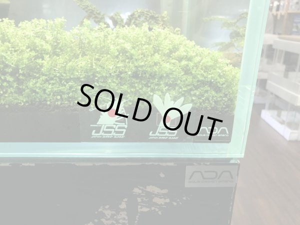 画像3: JSSオリジナルステッカー　２枚SET (3)